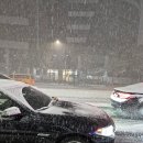 에이스 굿푸드 | 말차과자 감자탕면 폭설 후기