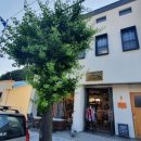 월화여인숙 이미지