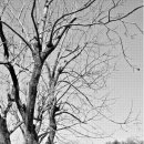 주천면 고촌마을 이미지