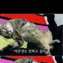 루루랄라 이미지