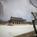연못위