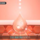 수원-1577 티스토리