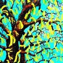 The Old Oak 이미지