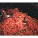 덴탈이유 이미지