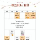 벨롱폴댄스 네이버블로그