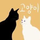 (주)밀크엔터테인먼트 이미지
