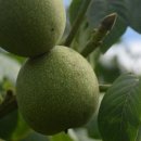 김천한솔펜션 이미지