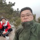 석도진 네이버블로그