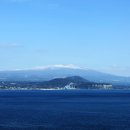 (주)그린크루즈 이미지