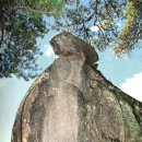 도원운학로 이미지