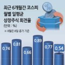 ‘역주행’ 세제개편에 얼어붙은 동학개미 이미지