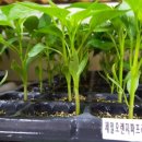 (주)레드오렌지 이미지