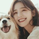 포포즈 반려동물장례식장 김포점 네이버블로그