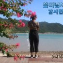 열린안경옥계점 이미지