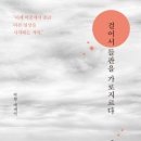 박향한 티스토리