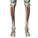 안녕피티 이미지