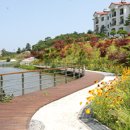 세이브투어 이미지