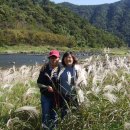 덕치초등학교 이미지