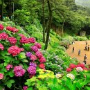 청송길R 이미지