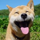 미소풀하우스 이미지