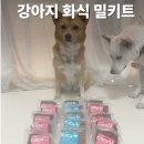 더펫레시피 네이버블로그