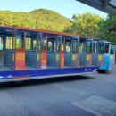 미인열차 이미지