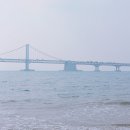 동백공원 생태 | [부산 뚜벅이 여행] 3일차 후기 (해운대/벚꽃/삼락생태공원/풍원장 꼬막정찬)