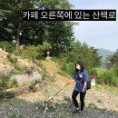 푼타하우스 | [모두를 위한 후기] 애견놀이터 있는 하남 애견카페 푼타하우스 방문기(가격,사진,영상 O)