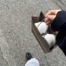 죽지 않고 또 살아왔네 (더미닝오브노벰버?)