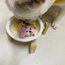 해피퍼피스데이 | [대구] 강아지 생일 케이크 ‘해피퍼피스데이’