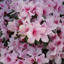 행복가득 이미지