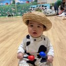 홍화미용실 | 브레인 오감노리 보리보리 5-10개월 권선영 선생님 수업 내돈내산 후기
