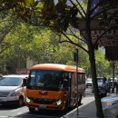 (주)필립 | 멜번 퍼핑 빌리 필립 아일랜드 내돈내산 솔직 투어 후기 및 꿀팁 추천!