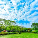 용산가족공원 Daum카페