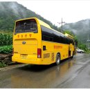 신기리 도로변 이미지