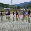 서삼초등학교 이미지