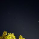 피크닉마트 이미지