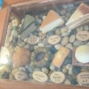 이매로 | 분당 이매 예쁜 카페 종화 / 경기 광주 통창뷰 카페 스멜츠