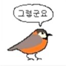 지나샵 이미지