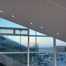 (주)하이약씨엔에프 | 메디큐브 하이포커스샷 플러스 면세 내돈내산 후기 / 한달 사용 솔직후기