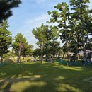 아담파크 이미지