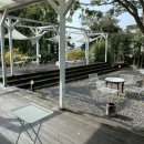 위미 | 제주도 서귀포 핸드드립 카페 벨라위미 로스터리 노키즈존? 내돈내산 솔직후기