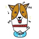 838028 이미지