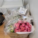 장미화원 | [W16-결혼준비] 생화 촬영부케 양재 꽃시장 ‘오이화원’ 퀵 주문 후기 (안개꽃, 핑크장미)