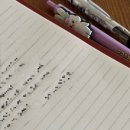 스테이물천 이미지