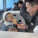 [청양 알프스마을] 20개월 아이랑 당일치기 눈썰매