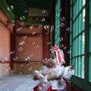 [메이필드호텔 낙원 돌잔치] 독보적으로 고급스러웠던 헤임달한복 후기 (Feat.디폴린스냅)