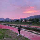 함께놀개 이미지