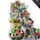 2024년 학교도서관 담당자 연수 - 초등담당자 | 인천.서울 기관 맞춤 테라리움 수업 학교·복지관·도서관 출강 프로그램 가능