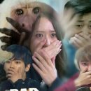 하안동 속눈썹 펌 제 2부[#속눈썹 #펌 #내돈내산 #2]